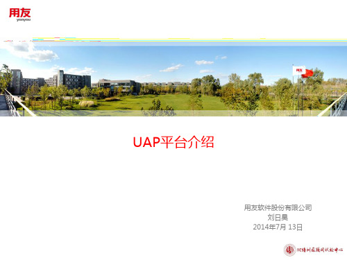 01.UAP平台介绍