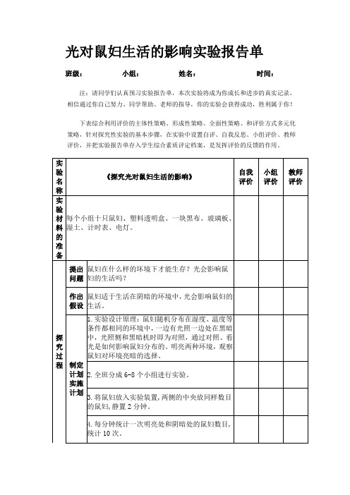 光对鼠妇生活的影响实验报告单