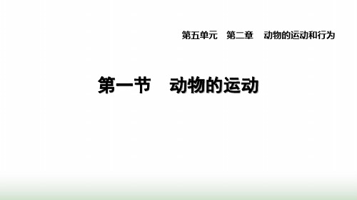 人教版八年级生物上册第五单元第二章2.1动物的运动课件