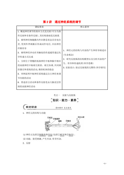 江苏专用高考生物一轮复习第8单元生命活动的调节第2讲通过神经系统的调节学案