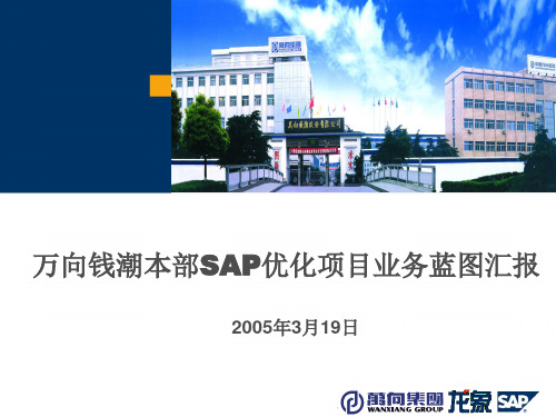 SAPXX项目业务蓝图汇报v1.0讲诉