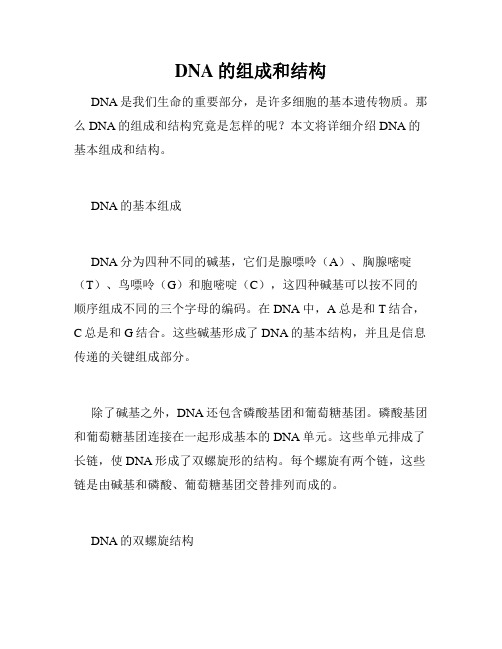 DNA的组成和结构