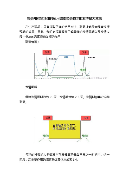 兽药知识猪场如何使用激素类药物才能发挥最大效果