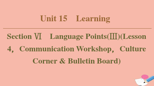 高中英语UNIT15LEARNINGSECTIONⅥLANGUAGEPOINTS课件北师大版必修