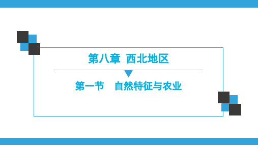 人教版地理八年级下册课件 第8章  第1节 自然特征与农业