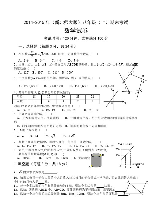 2014-2015年(新北师大版)八年级上学期期末考试数学试题