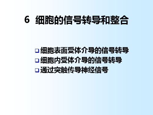 6_细胞的信号转导和整合