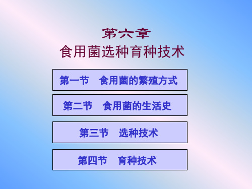 食用菌选种育种技术详解