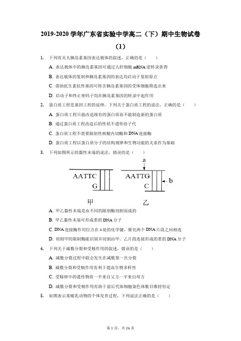 2019-2020学年广东省实验中学高二(下)期中生物试卷(1)(附答案详解)