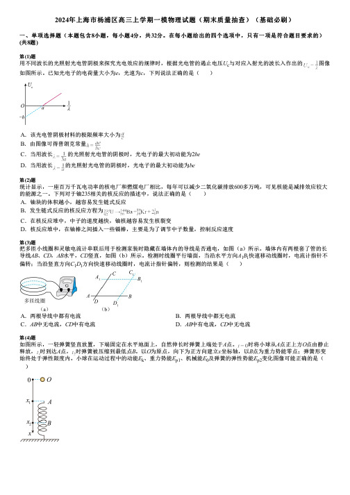 2024年上海市杨浦区高三上学期一模物理试题(期末质量抽查)(基础必刷)