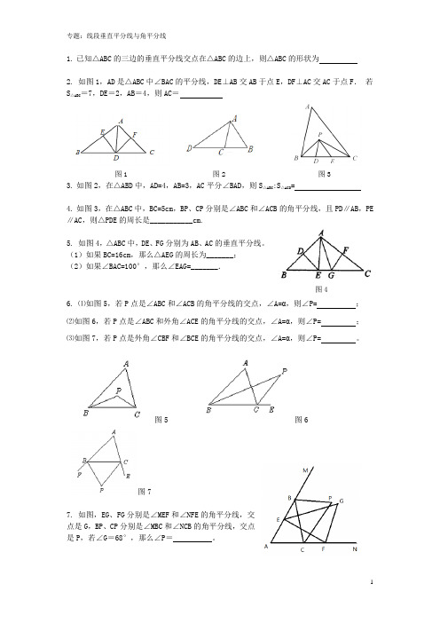 专题：线段垂直平分线与角平分线