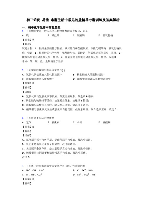 初三培优 易错 难题生活中常见的盐辅导专题训练及答案解析