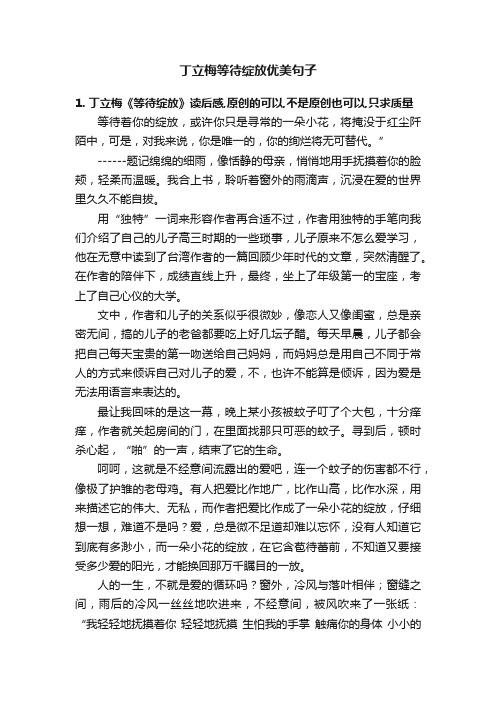 丁立梅等待绽放优美句子