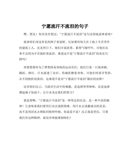 宁愿流汗不流泪的句子