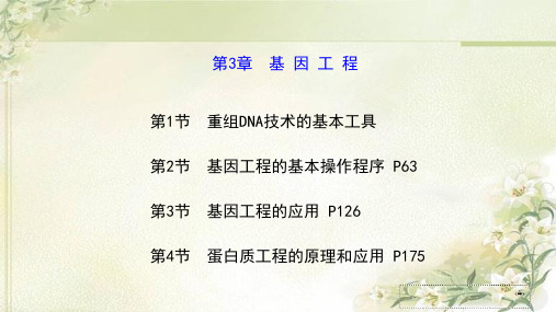 新教材人教版高中生物选择性必修3第三章基因工程 精品教学课件