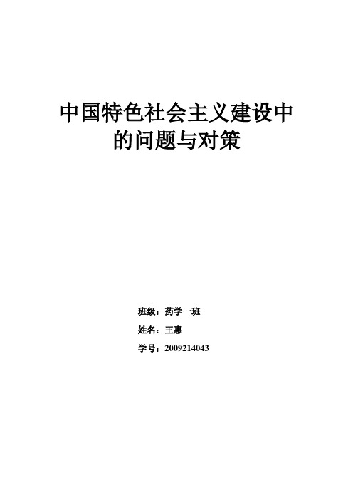 中国社会主义建设中的问题与对策