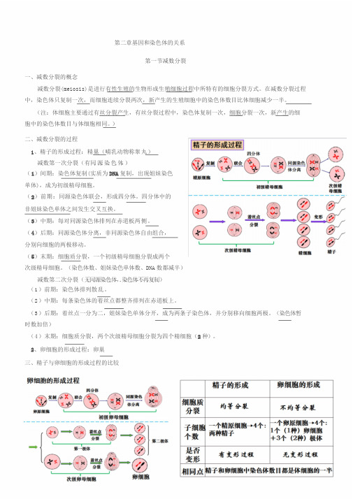 高中生物必修二-第二章-知识点总结