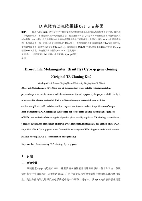 TA克隆方法克隆果蝇Cyt-c-p基因 分子实验设计