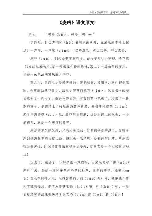 《麦哨》课文原文