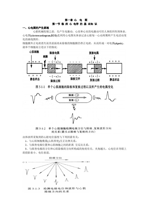 心电图教案讲稿