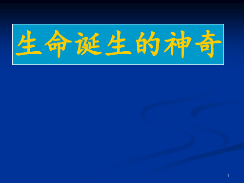 胎儿发育全过程 ppt课件