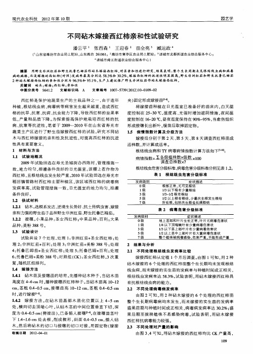 不同砧木嫁接西红柿亲和性试验研究