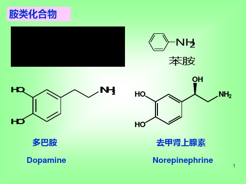 有机化学   有机化学  胺和生物碱PPT课件