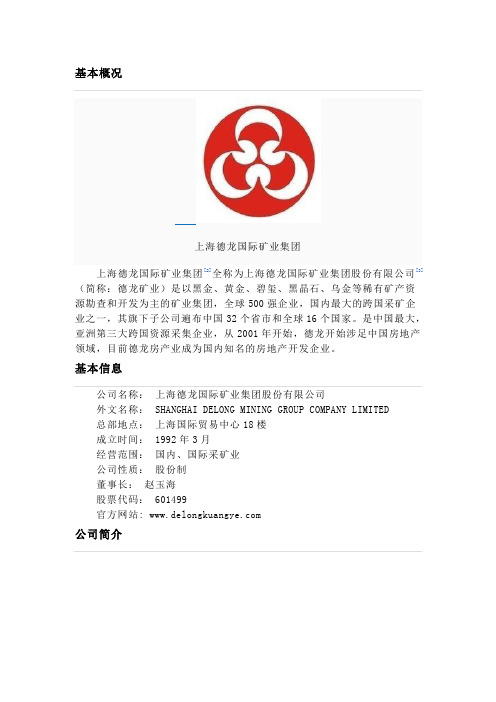 上海德龙国际矿业集团公司介绍