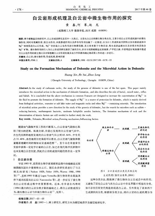 白云岩形成机理及白云岩中微生物作用的探究