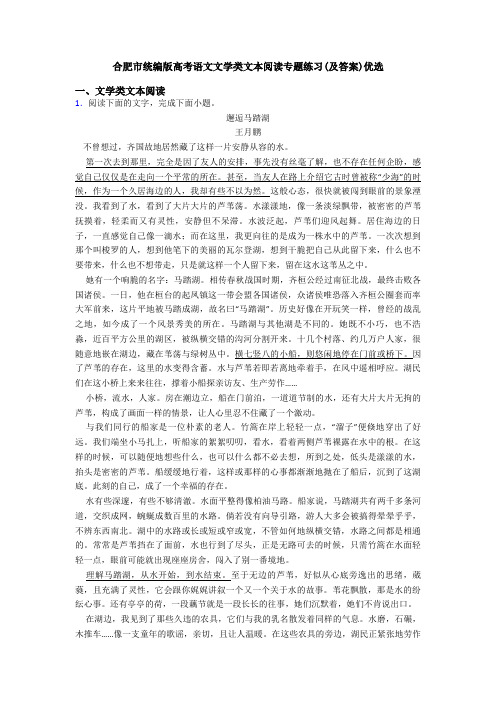 合肥市统编版高考语文文学类文本阅读专题练习(及答案)优选