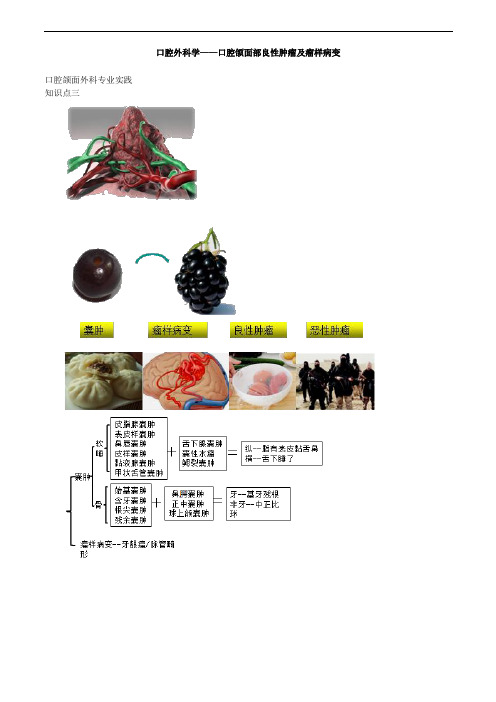 口腔外科学——口腔颌面部良性肿瘤及瘤样病变考试重点