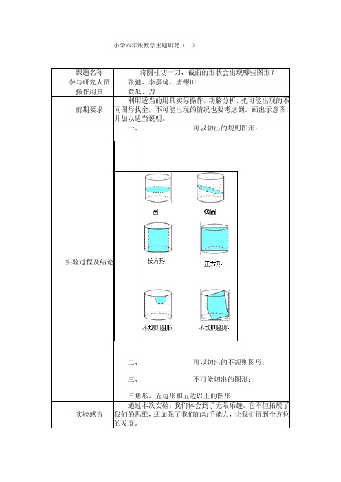 小学六年级数学主题研究