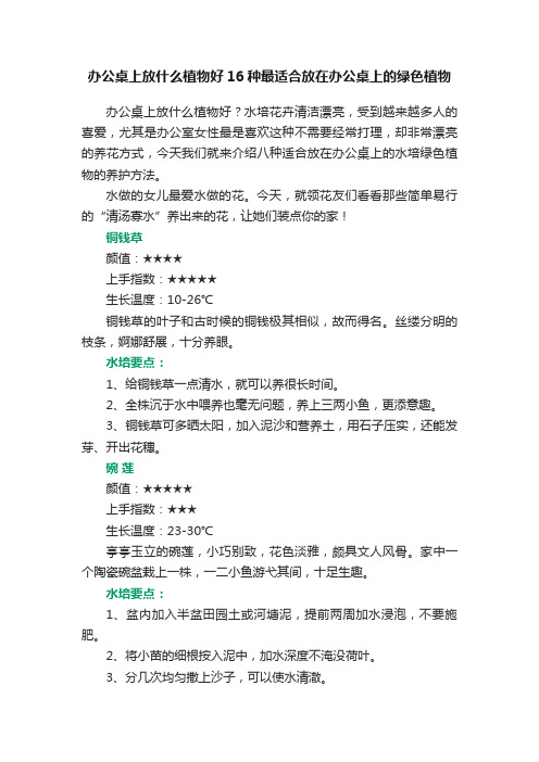 办公桌上放什么植物好16种最适合放在办公桌上的绿色植物