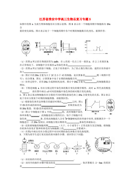 江苏省淮安中学高三生物总复习专题5