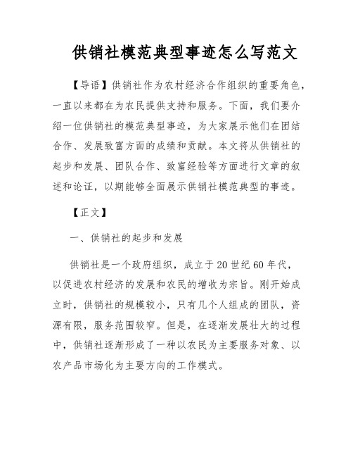 供销社模范典型事迹怎么写范文