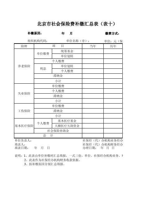 北京市社会保险费补缴汇总表(表十)