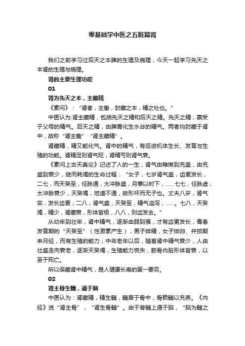 零基础学中医之五脏篇肾