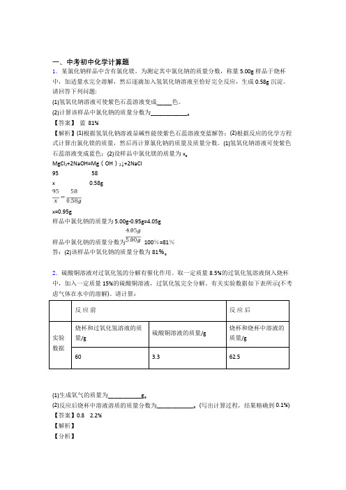 中考化学复习计算题专项易错题含答案解析