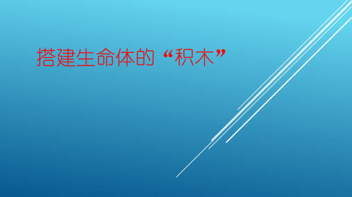 六年级上册科学课件-1.4 搭建生命的“积木”｜苏教版(共14张PPT)