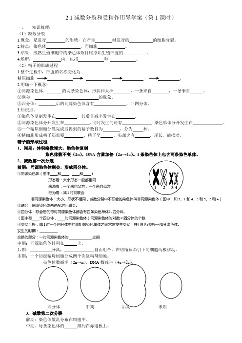 2.1减数分裂和受精作用导学案(第1课时)