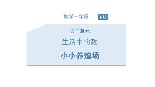 北师大版一年级下册数学《小小养殖场》生活中的数说课教学课件