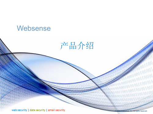 Websense 产品介绍