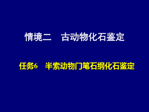 古生物：半索动物门笔石纲化石鉴定