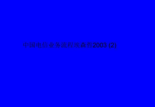 中国电信业务流程埃森哲2003 (2)