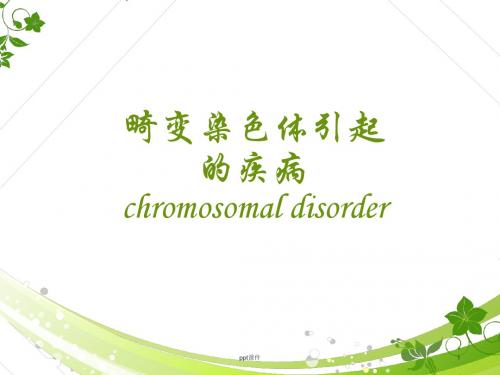 畸变染色体引起的疾病  ppt课件