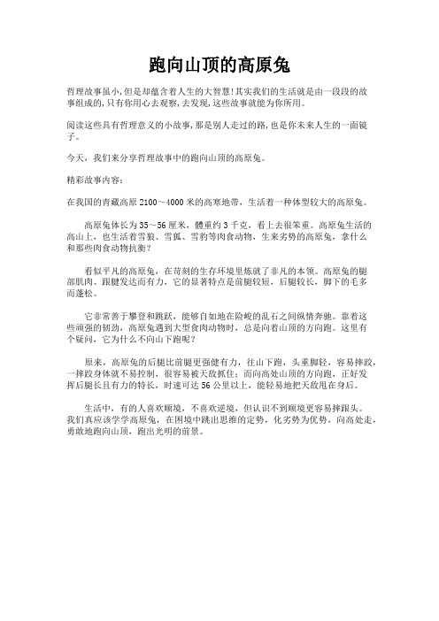 哲理故事之跑向山顶的高原兔