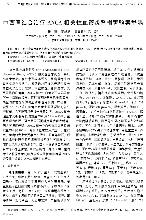 中西医结合治疗ANCA相关性血管炎肾损害验案举隅