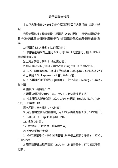 分子克隆全过程