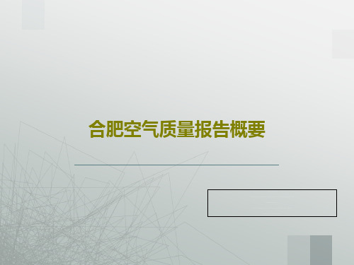 合肥空气质量报告概要28页PPT