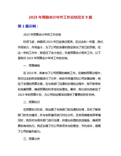 2023年预算会计年终工作总结范文9篇